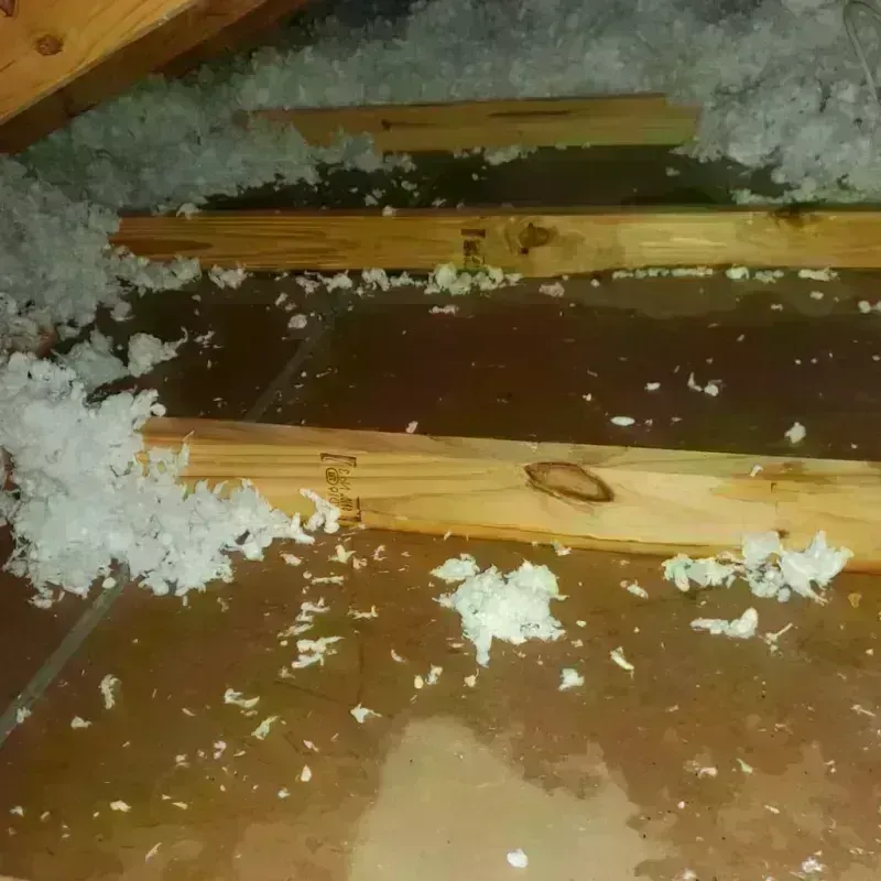 Attic Water Damage in Whitesburg, KY